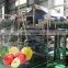 Automatic  Fruit jam processing machinery apple pear puree production line