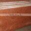 Chinese Popular Polished Tianshan Red Granite Floor Tiles