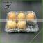 6 Cells Plaster Egg cartons Plastic clear Egg Trays Containers