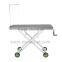Pet Grooming Tables FT-833