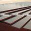 Cheap price black film faced plywood linyi factory