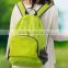Travel Clothing Organizer Bag / Storage Mesh Pouch Colorful Bag /Tavel Fold Backpack Organizer Bag