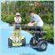 2016 fashion trending electric chariot personal transportation
