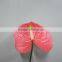 Fresh factory direct supply antirrhinum cut flower from china