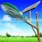 integrated solar street light with CE
