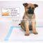hot sale disposable pet pads puppy training pads fast absorbing quality pet underbad