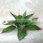 wholesale made in china accessory of plant wall plastic maguey
