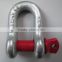 Galv. G-210 US Type anchor Forging Shackles High Quality D Type Shackle