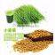 Hydroponic fodder machine