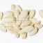 snow white pumpkin seeds with good quality for sale