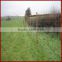 Galvanized Field Fence in Anping / Cattle fencing/ animal fence
