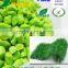 Weatherproofing color masterbatch for ABS,HIPS,PP,PE
