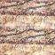 TSAUTOP 0.5M/1M Width New Patterns Camouflage And Tree Hydrographic Film Pva Water Transfer Print Film Hydro Dipping Film P1022
