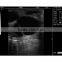 Vet Ultrasound/Veterinary Products/ Diagnostic Equipment for Animal L60