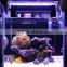 Distributors wanted Chihiros aquarium e-series lighting led system 329-5361