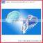 Manufacturer Promotional Cellulite Brush Massager/Scalp Massaging Brush