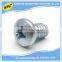 China Customized High Precision Stainless Steel Phillips Self Tapping Screw