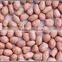 2015 new crop best quality hot sale wholesale blanched peanuts specification