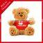 OEM designs high quality SGS tested Plush toys