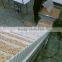 snake/vegetable/grain etc. food climbing lifter conveyor