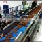 modular belt cooling for food conveyor