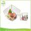 TeardropTerrarium.Modern Planter for Indoor Gardening.Home decor.Indoor Geometric Trending terrarium