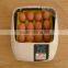 high quality hot sale fully automatic 12 mini egg incubator