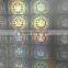 Anti fake transparent holograms overlay,films,foils to protect id cards