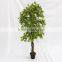 making indoor artificial green ginkgo trees real wood trunk for sale