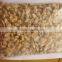 IQF frozen fresh yellow baby clam meat