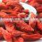 NingXia prior bulk goji berry