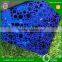 Decorative Color Titanium Coated Etched Stainless steel Sheet