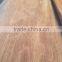 Cheep Natural Face Veneer /Red Hardwood Face Veneer For Plywood Face And Back