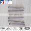  china common nail iron nail factory price