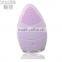 Waterproof Rechargeable Soft Shipform Silicone Electric Wash Face Brush