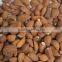 Roast garlic cloves/roast garlic dices/roast garlic puree