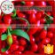 2016 new crop organic goji berry price in bulk package