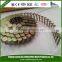  whole sales China manufacturer electric nail flat coil heater with 5 pin xlr plug