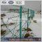 2016Hot Sale galvanized/pvc coated barbed wire price