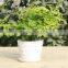 15040110 Supply High Quality Colorful Melamine Flowerpot