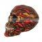 OEM Halleewon skull---custom skull Prototype