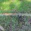 steel 3 prong garden farming hoe