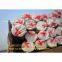 Seamless Carbon Steel Boiler Tubes for High-pressure service