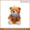 Wholesale Custom Plush Teddy Bear Keyring