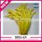 Factory wholesale prime quality dyed rooster tail feather