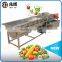 commercial vortex type automatic tomato pepper vegetable washing machine seaweed crawfish cleaning machine