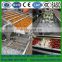 Industrial fruit and vegetable washing equipment/cleaner machine
