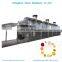Professional Manufacturer Supply Mesh Net Herb Drying Machine/Tunnels Nets Belt Dryer for Fruits and Vegetables