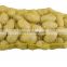 Factory price manual garlic net bag packing machine for sale