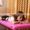 Portable folded beauty bed message bed